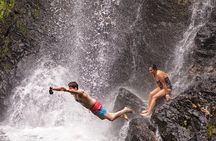 Daintree Waters Tour