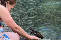 Daintree Waters Tour