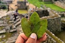 Explore Machu Picchu in One Day: Panoramic 360° Luxury Train