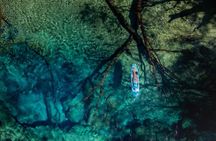 Cypress Springs Eco Adventure