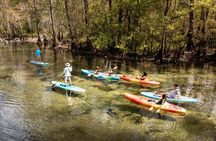 Cypress Springs Eco Adventure