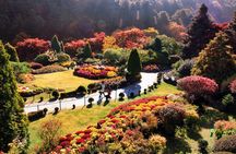 Alpaca World & Nami Island & Garden of Morning Calm One Day Tour