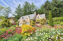 Nami Island & Petite France & Garden of Morning Calm Day Tour