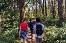 Chiangmai Summit Hike in Doi Suthep-Pui National Park