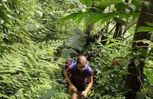 Chiangmai Summit Hike in Doi Suthep-Pui National Park