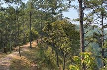 Chiangmai Summit Hike in Doi Suthep-Pui National Park