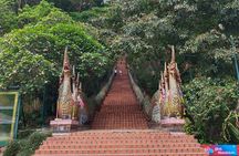 Chiangmai : Doi Pui Summit Hiking Experience