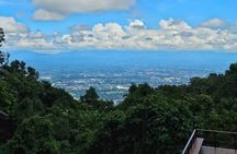 Chiangmai : Doi Pui Summit Hiking Experience