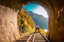 Nami Island, Petite France with Rail Bike Day Tour From Seoul