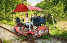 Nami Island, Petite France with Rail Bike Day Tour From Seoul