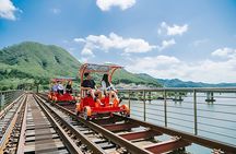 Nami Island, Petite France, Rail Bike & Painters Show Day Tour