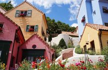 Nami Island, Petite France with Rail Bike Day Tour From Seoul