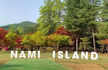 Nami Island, Petite France with Rail Bike Day Tour From Seoul