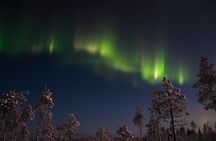 Evening Snowmobile Safari with Campfire in Saariselkä