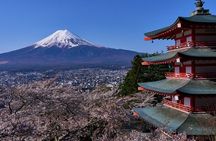 Private tour to Mount Fuji with an English driver from Tokyo