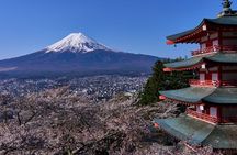 Private tour to Mount Fuji with an English driver from Tokyo