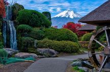 Private tour to Mount Fuji with an English driver from Tokyo