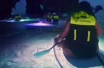 Krabi Stand-Up Paddleboard Illuminated Night Tour