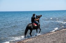 Secluded Black Beach Horseback Riding Tour in Santorini 