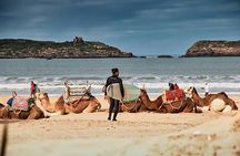 Essaouira Day Tour from Marrakech