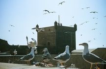 Essaouira Day Tour from Marrakech