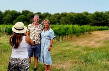 Picpoul de Pinet Tour - Half Day Oysters and Wines