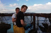 Picpoul de Pinet Tour - Half Day Oysters and Wines