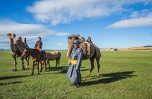 Nomadic Family Experience Day