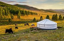 Nomadic Family Experience Day