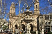 Montevideo Private Best Street Food Tour With A Local Guide