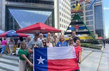 Executive Private Houston City Tour