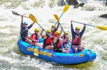Half Day Shoshone Rafting in Glenwood Springs