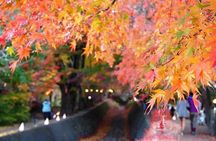 Mt Fuji 5th Station Kawaguchiko Gotemba Outlet mall Tour | Tokyo