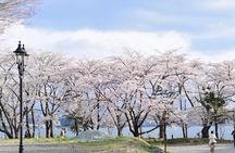 Mt Fuji 5th Station Kawaguchiko Gotemba Outlet mall Tour | Tokyo