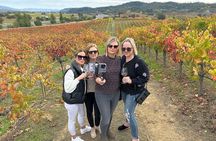 Napa Valley Mountainside Small Group Winery Tour