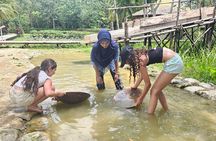 Old Phuket Farm Ticket - Countryside Local Life Culture