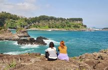Jeju island Southern Unesco Mt.halla ONE day Bus Tour