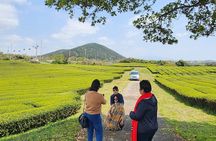 Jeju island Southern UNESCO Day Tour With Hallasan MT