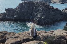 Jeju island Southern UNESCO Day Tour With Hallasan MT