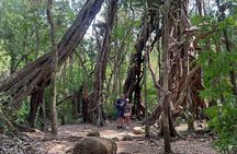 Cat Tien National Park Eco Private Tour With Cycling, Hiking