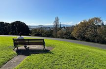 GoGuided Auckland City Tour (Car/Van)