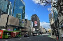 GoGuided Auckland City Tour (Car/Van)