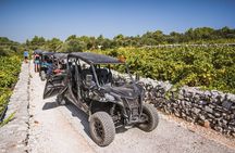 Buggy Safari With Wine Tasting