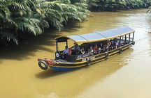 Private tour: Explore the authentic rural life in Ben Tre