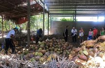 Private tour: Explore the authentic rural life in Ben Tre