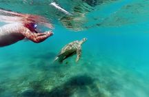 Marsa Mubarak with Snorkeling from Marsa Alam
