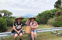 Step- Free easy going tour from Shimizu Port / Sedan Taxi