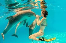  Explore Satayeh Reef on a Marsa Alam snorkeling trip