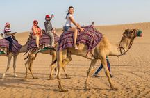 One Hour Camel Riding Adventure With transfer From Hurghada
