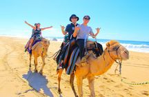 One Hour Camel Riding Adventure With transfer From Hurghada